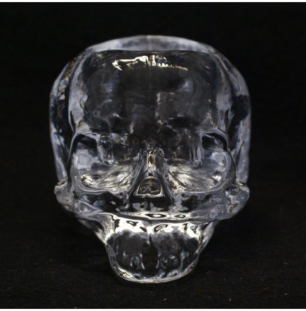 Still Life Skull Ljuslykta transparent